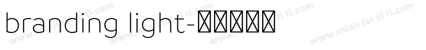 branding light字体转换